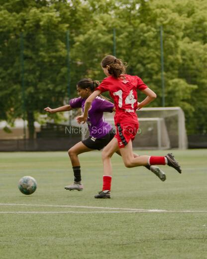HG Fodbold - BK Union