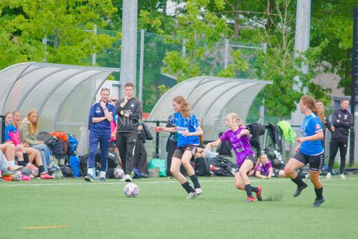 HG fodbold - Roskilde fodbold